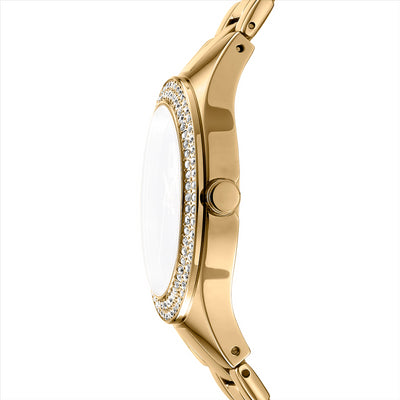 DKNY Parsons Glitz Silver Dial Ipg Bracelet 38Mm