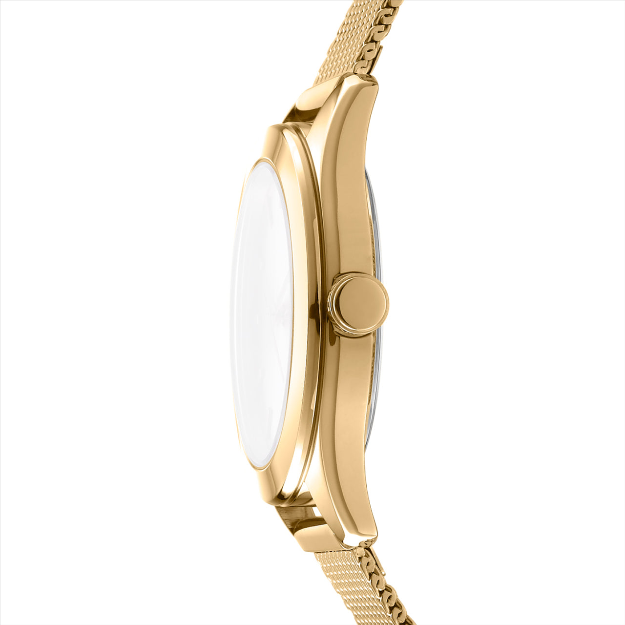 DKNY Astoria Logo Champ Dial Ipg Bracelet 34Mm