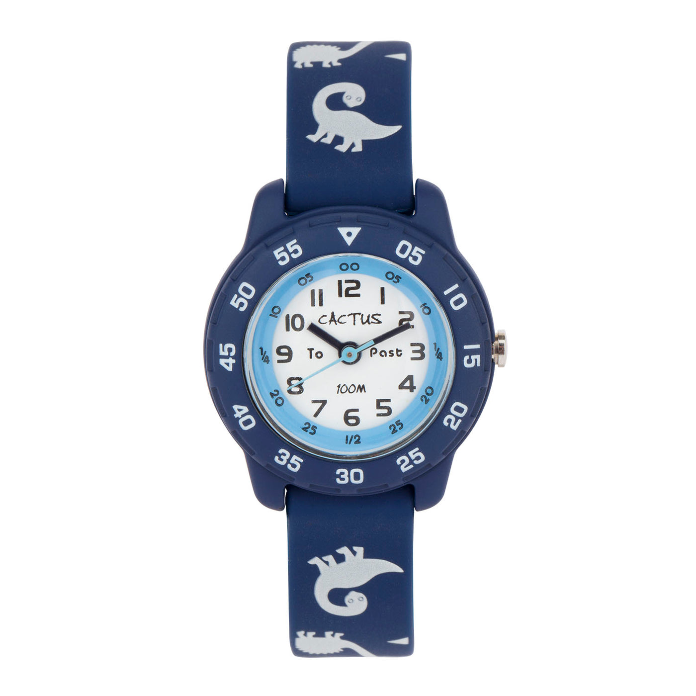 Cactus 100M Blue Band Dinosaur