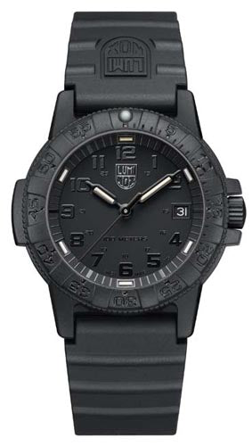 Luminox Sea Turtle 0300 Series 100M Watch