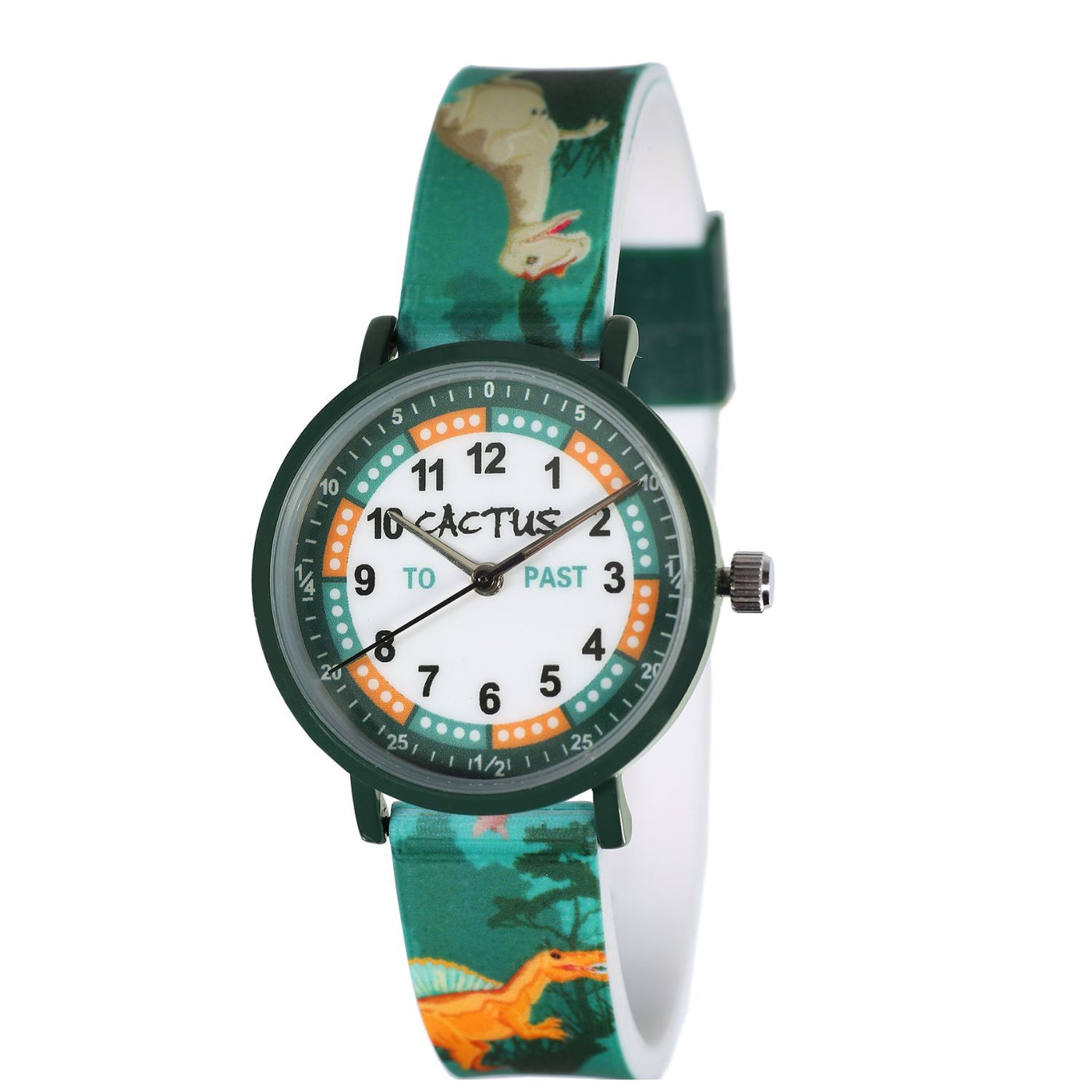Cactus Time Teacher Dinosaur 30M Watch