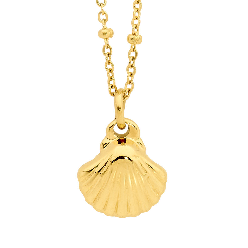 Shell Pendant With Feature Chain 40Cm+5Cm