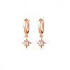 Rose Gold Plated Cubic Zirconia Star Earrings