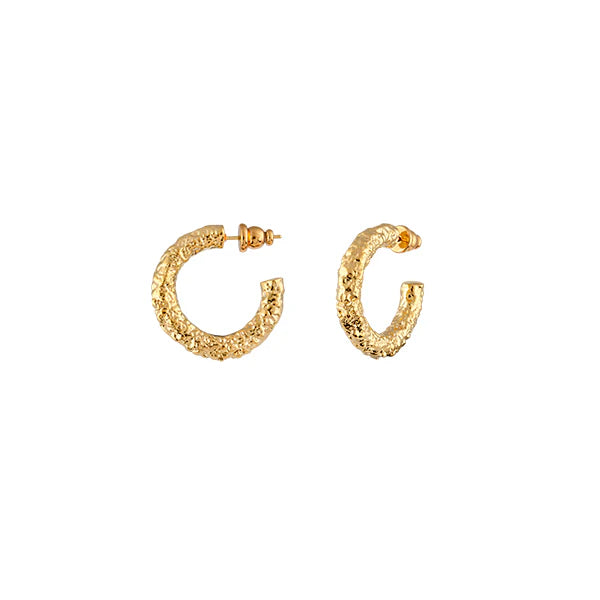 Zahar Mona 18Ct Ygp Stainless Steel Earrings