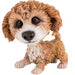 Collectable Molly Cavachon