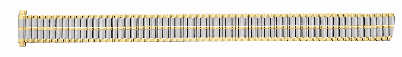 Ladies Two Tone Watch Band